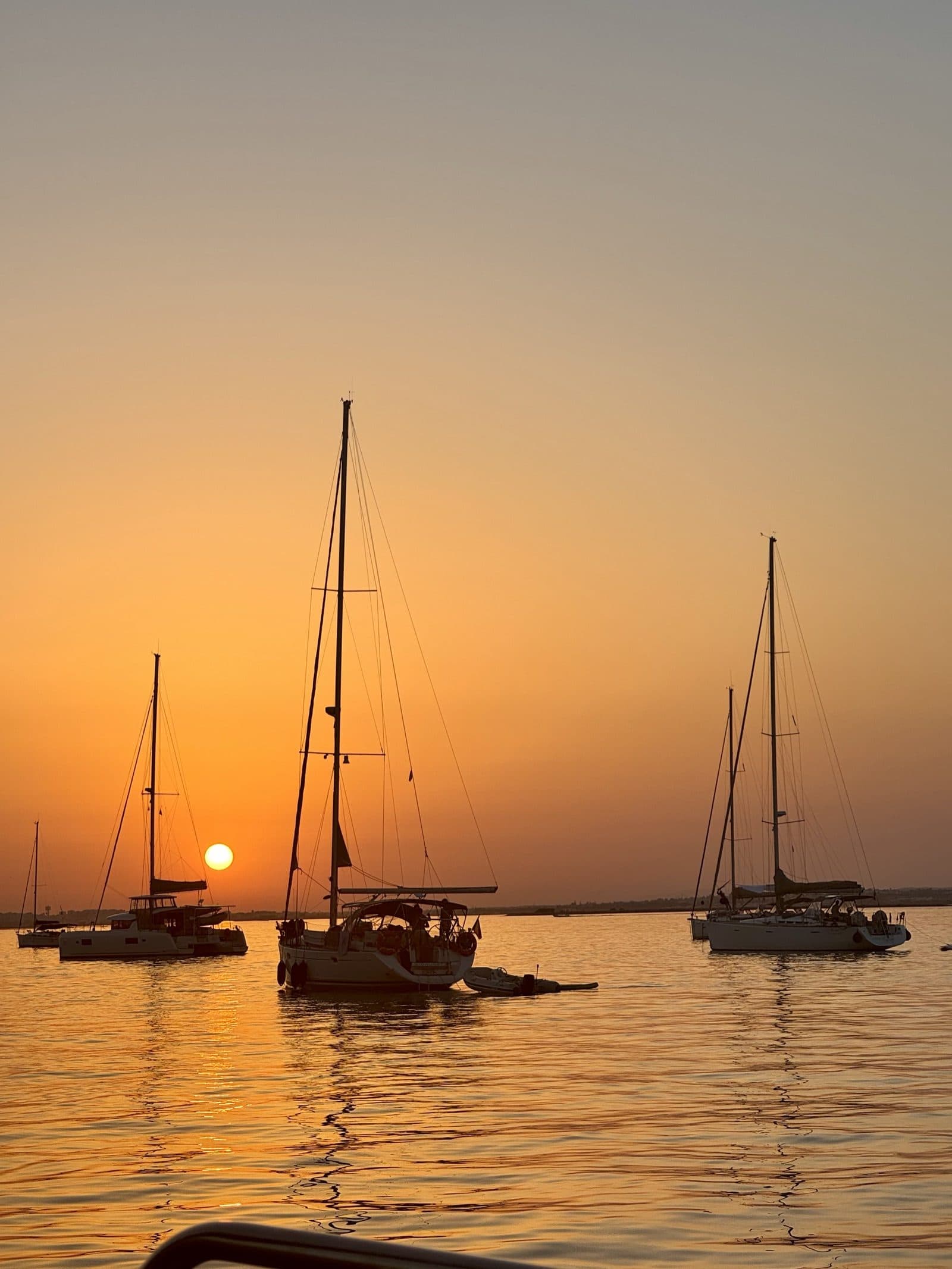 The Tagus Sail